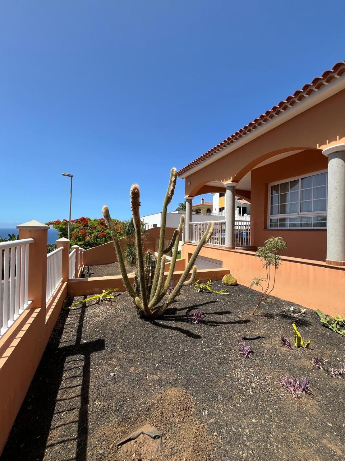 Chalet Piscina Privada Max 26º Jardin, Tranquilidad Caleta de Interián Εξωτερικό φωτογραφία